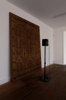 Armando Andrade Tudela, Musique pour un tapis dans l’ombre (collaboration avec Thibaut de Raymond), 2018. Musique, enceinte, tapis italien du 19ème siècle. Dimensions variables. Courtesy de l’artiste. Photo A. Mole.