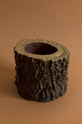 Musa paradisiaca, Casca [Bark], 2014. Courtesy des artistes