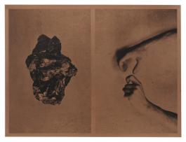 Petra, graphite, grenade, 2020, Héliogravure Atelier Hélio’g © Ilanit Illouz, œuvre produite dans le cadre de FLUX, commande photographique du Centre national des arts plastiques (Cnap) en partenariat avec le CRP/ Centre régional de la photographie Hauts-de-France et Diaphane Pôle photographique en Hauts-de-France