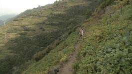 Yves Chaudouët, "La Mue", 2015 Yves Chaudouët - La Mue