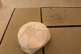 Lotus de Marie-Ange Guilleminot