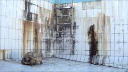 Maude Maris, Souvenirs de Téthys, vidéo HD, 12 min