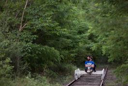 Centipede de HeHe / Helen Evans et Heiko Hansen