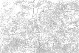 hogon-in (rouge jaune) 2020, impression sur papier kozo awagami, 80 x 120 cm © Detanico Lain, production CRP/