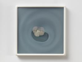 Dove Allouche, Aspergillus penicillioides 5226 CZ #40, 2015-2016 Photo : A. Morin Collection Cirva