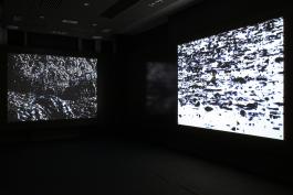 Anne-Charlotte Finel, Vue de l’exposition « Des sirènes au fond des prunelles », Noir Goemon 1 et 2, 2019, centre d’art Le Lait, photo Phœbé Meyer