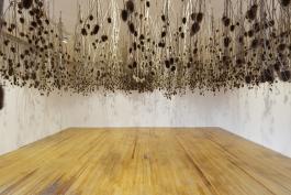 « Après avoir retourné le champ », installation d’environ 700 chardons fanés, 700 x 700 cm. Crédit photo Aurélien Mole