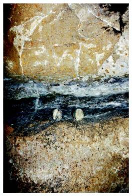 Laurie Dall'Ava, Chachapoyas, 2018