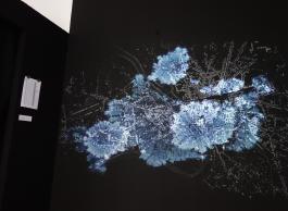 Cristina Ferrández Box,La ciudad liquen, 2018, centre d’art Le Lait / The  SPUR, Albi, photo Le Lait