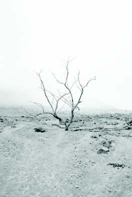 Laurie Dall'Ava, De cendres #04 Soufriere Hills.  Montserrat Island, 2018