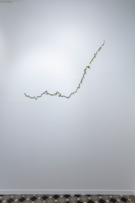 La ligne qui nous divise, BIJARI, PRODUCTION CRP/ © MATHIEU HAREL VIVIER