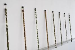 flore, 2020. 9 tubes de verre de 140 cm, embout caoutchouc, végétaux toxiques (de gauche à droite) : thuya, houx, fusain, lierre, gui, spin, cotonéaster, lierre d’Irlande conservés dans de la glycérine. Production le 19 Crac. Photo Angélique Pichon et le 19 Crac.