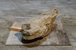 Hemali Bhuta, I'll still bring you flowers, Production 2017 du Centre international d’art et du paysage  Vue de l'exposition "Subarnarekha, la ligne d'or"  au Centre international d'art et du paysage, île de Vassivière, 2017 Crédits AurélienMole