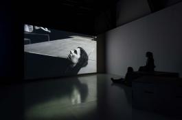 Gail Pickering, Near Real Time - The Action Theatre Group