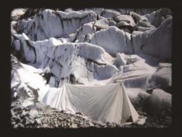 Projecto Teatral, Lion Noir, 2008, Festival Alkantara, Teatro Municipal de S. Luiz