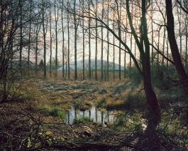 Pavillons et totems, Sans titre, 2016, 61,4 x 76,8 cm © Maxime Brygo