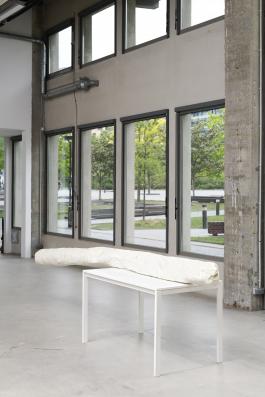 Vue de l'exposition Ma système reproductive à Bétonsalon - Centre d’art et de recherche, Paris, 2019. Jean-Charles de Quillacq,  Shopping, 2019, Image : Aurélien Mole