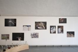 A travers ciel, les petites mythologies, 2006-2020. Vue d'ensemble. Photographies contrecollées sur dibon (60x90 et 60 x 45cm) et impressions dos bleu (60x90 et 60 x 40cm). Production Le 19 Crac. Photo Angélique Pichon et le 19, crac.