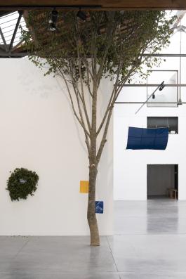Hélène Bertin, L'arbre de mai, 2021. Installation avec un tilleul, feuilles, livres et vidéo Le Feuillu. Production Le 19 Crac, photographique Angélique Pichon et le 19 Crac.