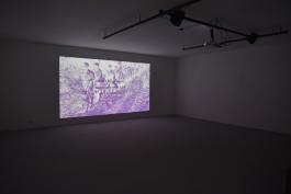 Conspiraçao do caminhante do cao, 2017. Vidéo HD. 13'58''. Prod Le 19, Crac. Photogramme Jonas Delaborde.