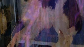 Anne Bourse, Grand chien, 2021, montage numérique 