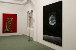 Vue de l’exposition Love and die de Tobias Spichtig, CAC-La synagogue de Delme, 2019. Photo : Tobias Spichtig.