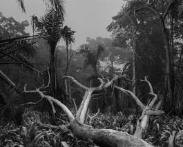 Cameroun, Lomié, 2018 © Éric Guglielmi, œuvre produite dans le cadre de FLUX, commande photographique du Centre national des arts plastiques (Cnap) en partenariat avec le CRP/ Centre régional de la photographie Hauts-de-France et Diaphane Pôle photographique en Hauts-de-France