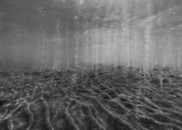 Paysages productifs, Bulles, pH 5.5, - 3m, zone acide, Vulcano, Sicile, 2019, Tirage Carbone 79,5 x 110 cm © Nicolas Floc’h, œuvre produite dans le cadre de FLUX, commande photographique du Centre national des arts plastiques (Cnap) en partenariat avec le CRP/ Centre régional de la photographie Hauts-de-France et Diaphane Pôle photographique en Hauts-de-France