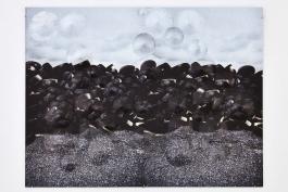 Clémentine Carsberg - "Paysage de saison 06-07"
