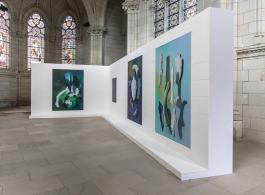Maude Maris, Souvenirs de Téthys, installation, photographie Jean Nicolas Lechat