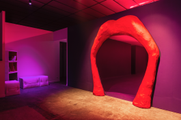 Louise Siffert, Gut feelings. Tellement vitales et si vivantes., 2020. Vue de « Gut feelings. Tellement vitales et si vivantes. », une installation coproduite entre par le BBB Centre d’art et Dream Vision (Toulouse), 2020. Photo : Fanny Trichet