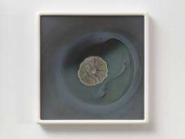 Dove Allouche, Aspergillus penicillioides 5226 MA #15, 2015-2016 Photo : A. Morin Collection Cirva