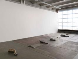 Antoine Nessi - Unknown Organs