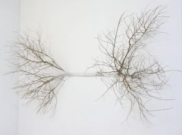 Cécile Beau, Rhizome, 2016. Courtesy galerie 22,48m2, Paris. Production : Le Parvis centre d'art contemporain. Photo : Alain Alquier.