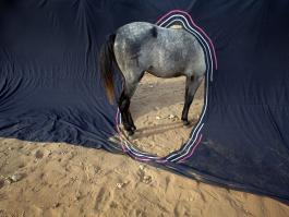 Quitter, photographie argentique en tirage numérique sur Dibond,  2015, 80 x 110 cm, série Les porteurs, 2015-2016