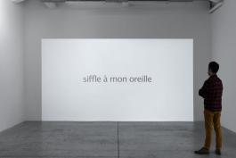 Dominique Petitgand - Les lettres blanches