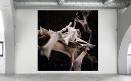 Katrin Freisager, "Phenomenon", 2019 Vue de l'exposition "Où sommes-nous", 2019 © La Kunsthalle - photo : Katrin Freisager