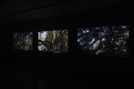 Vue partielle de l'exposition Marie-José Burki / Un Chien sur la route, au passage du promeneur © Vincent Everarts