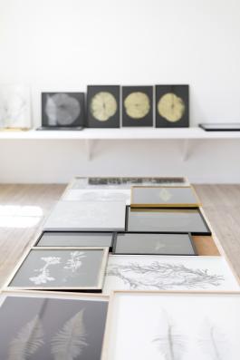 Marie Denis, L'herbier lacustre, herbier de curiosités, vue d'exposition au centre d'art (L'été photographique de Lectoure), 2019 © CAPL