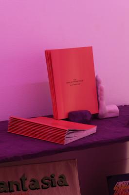 Anne-Sarah Huet, AAA DANS LE PAN-SPECTACLE, 2019, crédit Aurélien Mole