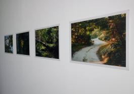 Brigitte CORNAND, Promenade dans les bois, 15 photgraphies couleur, tirages numériques à 3 exemplaires, photographie Marc Domage