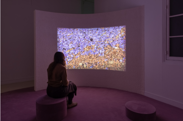 Jennifer Douzenel, Pétales, 2020, vidéo, 4’58 vue de « Juste un somme », Emba / galerie Edouard Manet, Gennevilliers © Margot Montigny Jennifer Douzenel, Pétales, 2020, vidéo, 4’58 vue de « Juste un somme », Emba / galerie Edouard Manet, Gennevilliers © Margot Montigny Jennifer Douzenel, Pétales, 2020, vidéo, 4’58 vue de « Juste un somme », Emba / galerie Edouard Manet, Gennevilliers © Margot Montigny