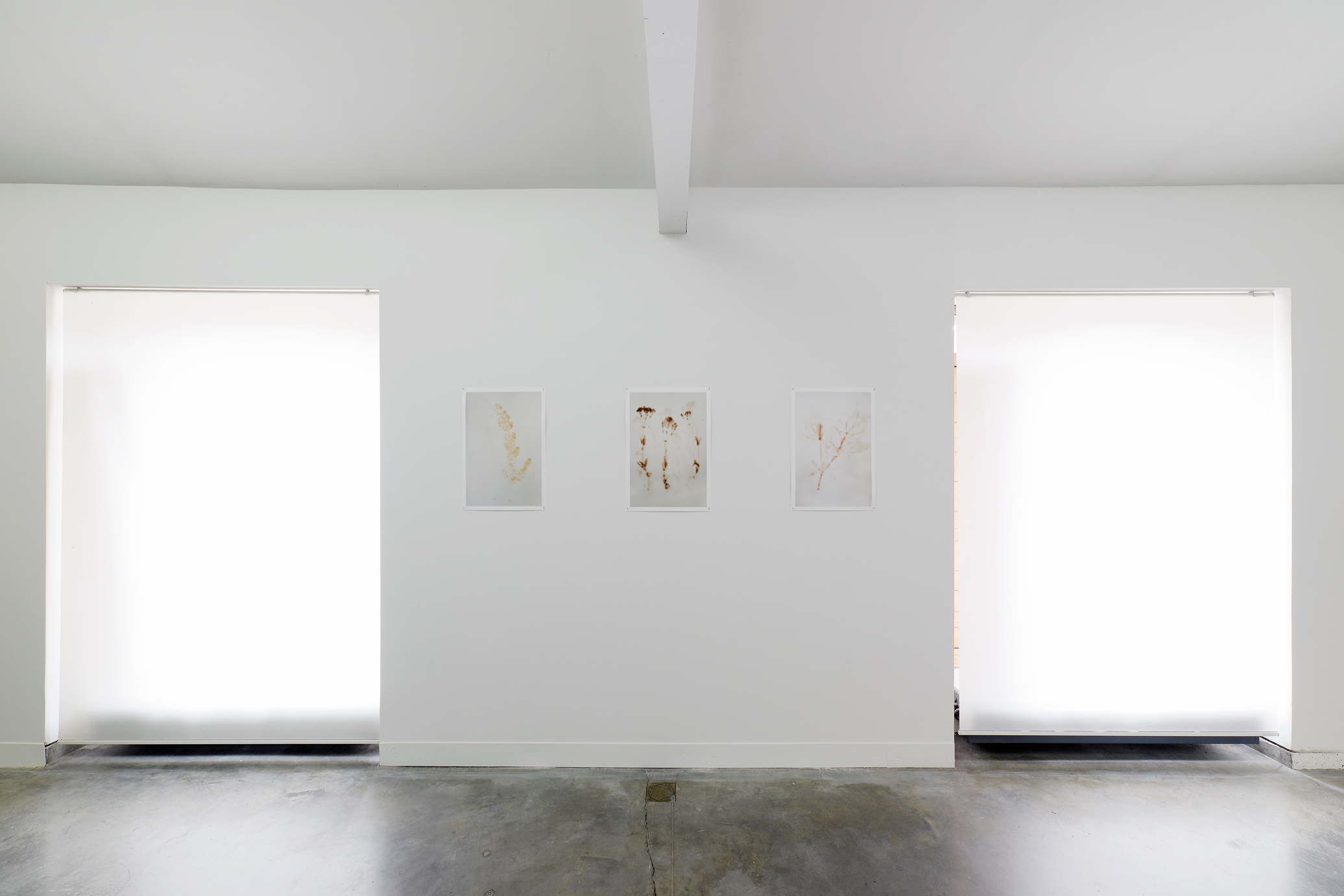 Echoes, Uriel Orlow Vue de l'exposition Theatrum Botanicum : The memory of trees - Parc Saint Léger Centre d'art Crédit photo : Aurélien Mole Echoes, Uriel Orlow Vue de l'exposition Theatrum Botanicum : The memory of trees - Parc Saint Léger Centre d'art Crédit photo : Aurélien Mole