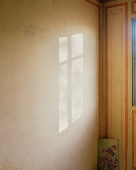 sans titre, FernVasantha Yogananthan, Sans-titre, Fern (2021) ©Vasantha Yogananthan​