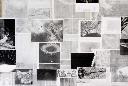 Agnieszka Piksa et Vladimir Palibrk - Apocrypha and Confabulations