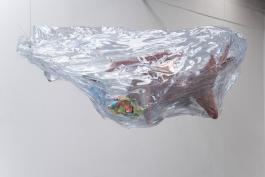 Anita Molinero, Sans titre, 2019. Polycarbonate. Production et photo le 19, Crac.