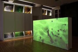 Anne-Charlotte Finel, Vue de l’exposition « Des sirènes au fond des prunelles », 2019, centre d’art Le Lait, photo Phœbé Meyer