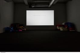  Myriam Lefkowitz Et sait-on jamais dans une obscurité pareille, 2016 Moquette, tapis de yoga, objets divers Courtesy de l’artiste