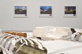 Serge Lhermitte, Et Dieu créa la T. P. E., 2007-2019, module en résine et impressions numériques, exposition Puis vint le blanchiment des exosqulettes. photo Angélique Pichon et le 19, Crac.
