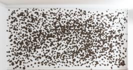 Sébastien Vonier, Terre Noire, 2018 © Yohann Gozard